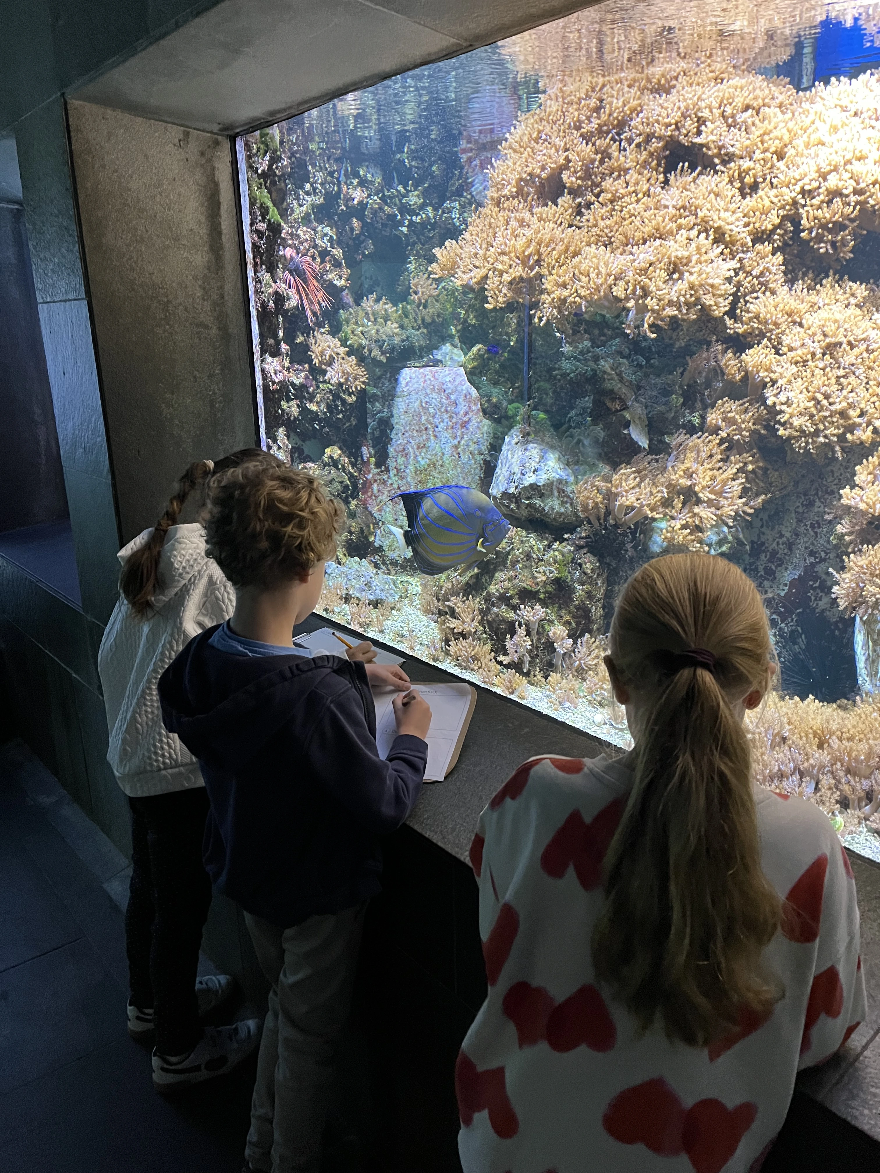 Team 2 in der Zooschule 