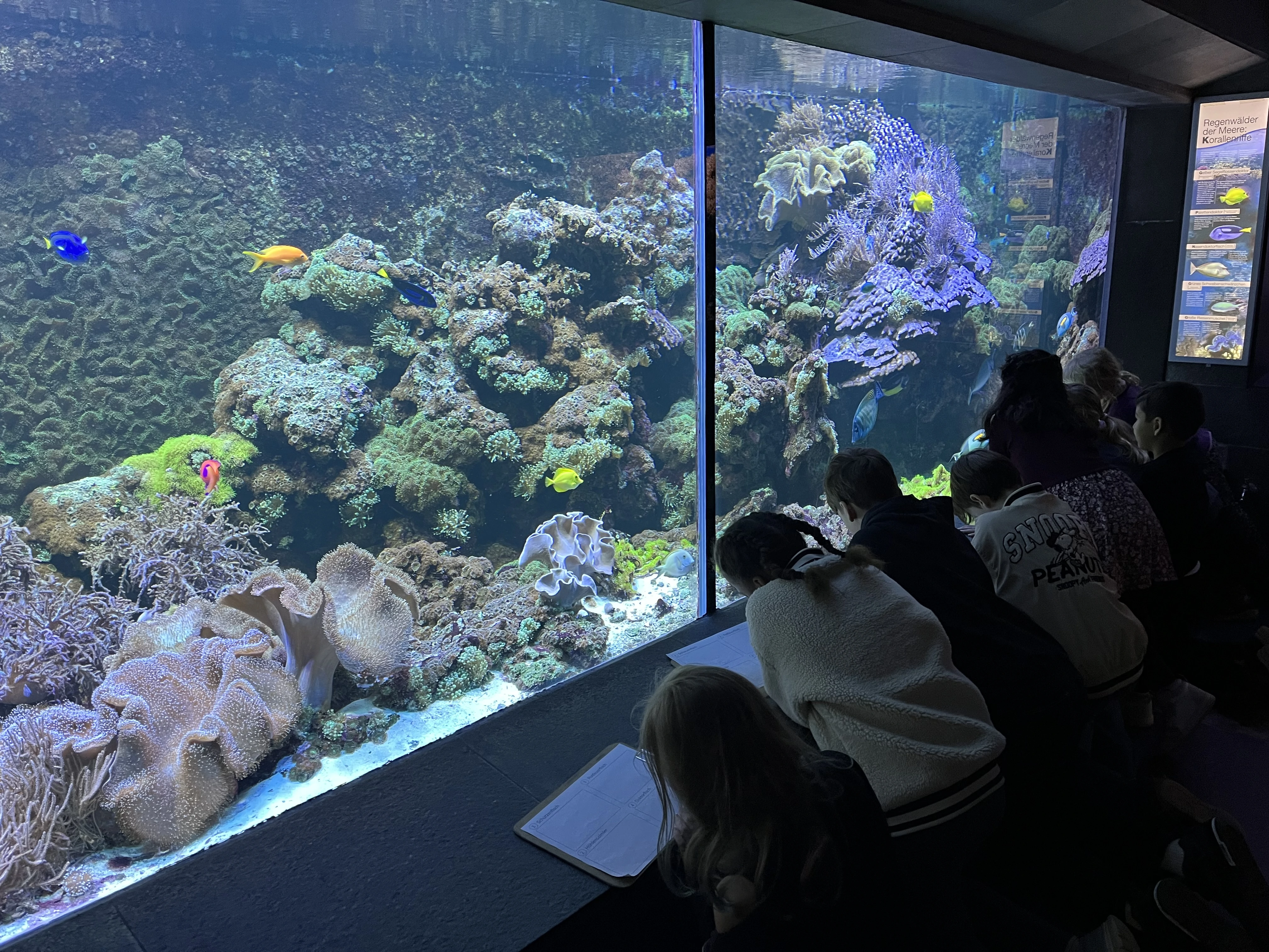 Team 2 in der Zooschule 