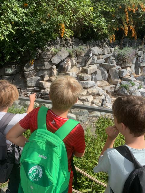 Zoobesuch T1 