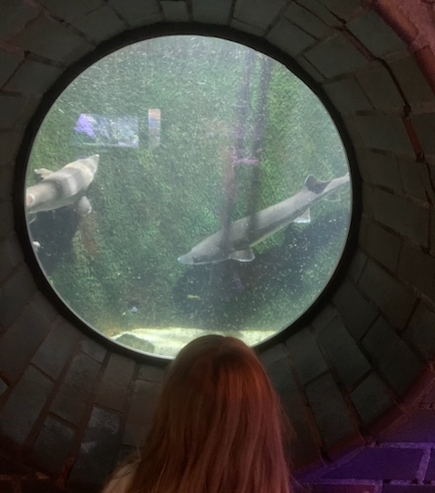 Zoobesuch T1 