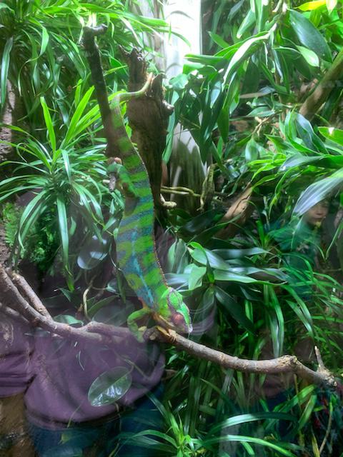 Zoobesuch T1 